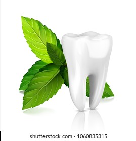 Whitening tooth ads, with mint leaves. Green mint leaves clean fresh concept. Teeth health