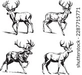 Whitetail Buck, dynamic pose simple graphic, cartoon vector art, sticker, black on white background 