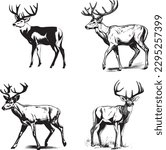 Whitetail Buck, dynamic pose simple graphic, cartoon vector art, sticker, black on white background 