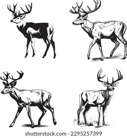 Whitetail Buck, dynamic pose simple graphic, cartoon vector art, sticker, black on white background 