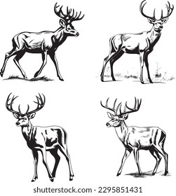 Whitetail Buck, dynamic pose simple graphic, cartoon vector art, sticker, black on white background 