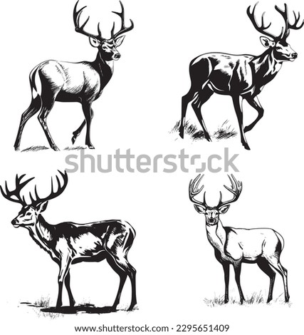 Whitetail Buck, dynamic pose simple graphic, cartoon vector art, sticker, black on white background 