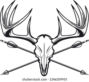 Whitetail Deer Buck Skull With Crossing Hunting Arrows