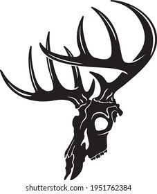 Whitetail Deer Buck Skull Vector