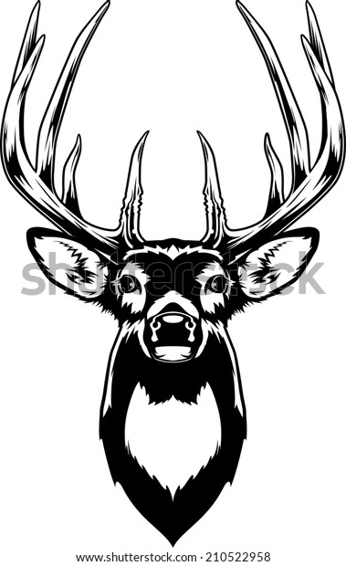 Whitetail Deer Head. Vector Illustration of a\
Whitetail Deer Head.