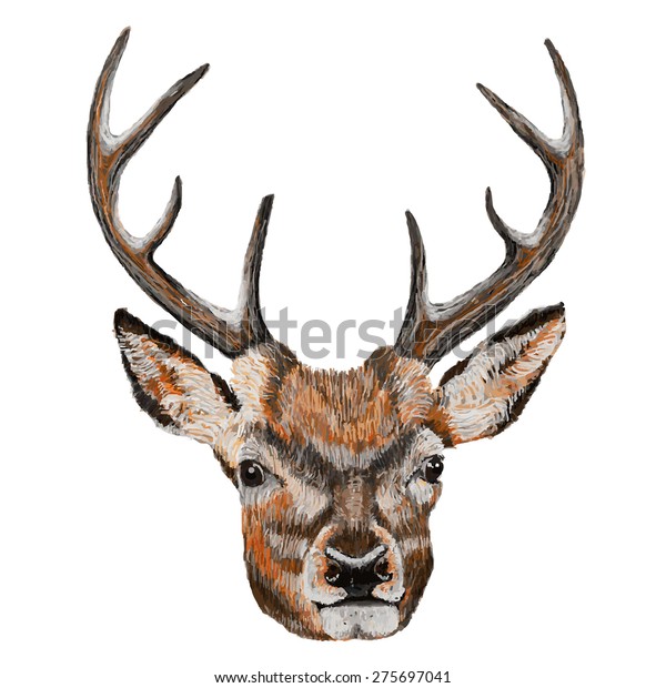 Whitetail Deer Head Vector Illustration Whitetail Stock Vector (Royalty ...