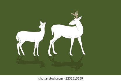 White-tailed deer - deer family. Deer in various poses. Female deer, vector illustration