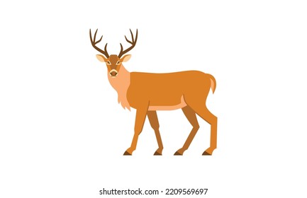 The white-tailed deer (Odocoileus virginianus) in side angle view, american wild animal flat style vector wildlife illustration isolated on white background