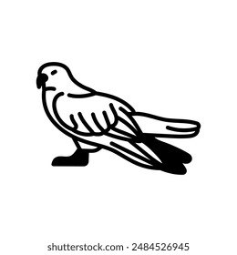 White-tailed Kite Glyph Icon, Vector illustration