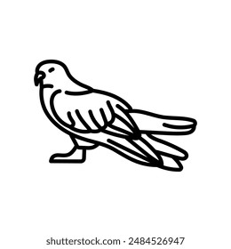 White-tailed Kite Outline Icon, Vector illustration