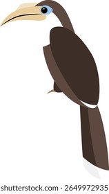 Hornbill castanho de garganta branca, Anorrhinus austeni. Hornbill na Tailândia e ilustração de vetor do Sudeste Asiático.