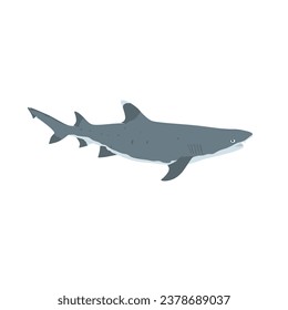 The whitetip reef shark high quality vector design transparent background