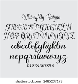 Whitney es un guion moderno con escritura a mano, personajes decorativos, diseñado para combinar a la perfección escrituras informales, elegantes, románticas y dulces. 