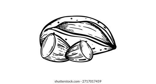 Almendra entera en cáscara agrietada y dos mitades peladas de Vector monocromo pintado con tintas negras. Ilustración de almendras para envases de alimentos, guías nutricionales, artículos médicos sobre beneficios.
