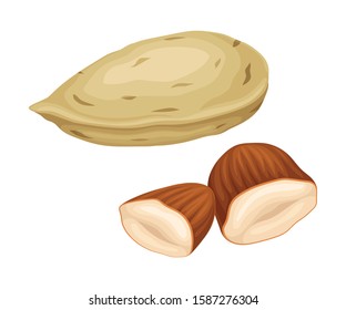Whole Almond Nut and Half Split Isolated on White Background Vector Item