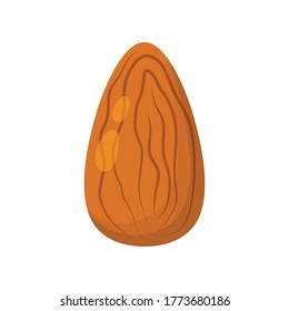 whole almond nut without shell isolated on white background, vector illustration