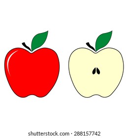 whole apple and an apple in a cut - vector