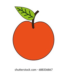 whole apple fruit icon image