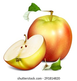 Ganzer Apfel und halbgeschnittener Apfel. Vektorgrafik