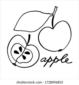 Whole apple and the half of it. Black and white vector illustration with hand lettering. Perfect for coloring book, teaching aid, illustrated summary, other design projects