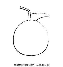 whole apple icon image 