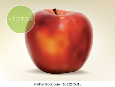 A whole apple in a realistic depiction