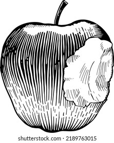 Whole apple with right bite, front view. Black and white vector illustration isolated on white background.