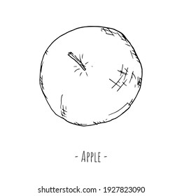 Whole apple. Vector illustration. Isolated on white. Hand-drawn style. Top view.