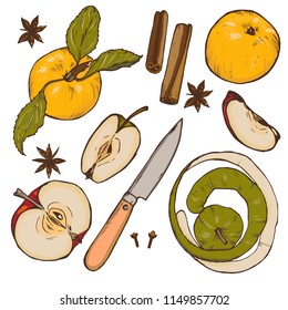 Whole apples, cut into halves and slices, spices and berries, set, vector illustration
