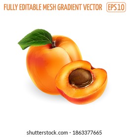 Whole apricot and half with pit on a white background.