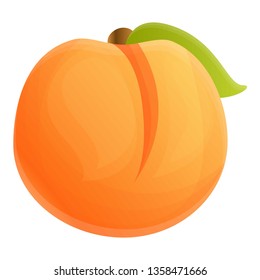 Whole apricot icon. Cartoon of whole apricot vector icon for web design isolated on white background