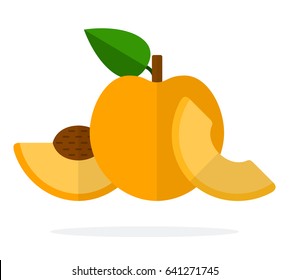 Whole apricot and piece of apricot with a stone vector flat material design isolated on white