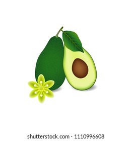 Whole avocado fruit with leaf, slice and flower isolated on white background.