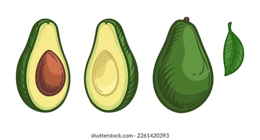 Whole avocado and half avocado. Vector illustration of fruits.