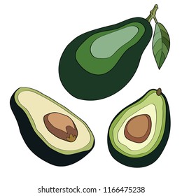 Whole avocado with leaf and half with seed isolated on white background. Vector illustration