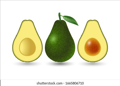 Whole avocado with leaf and half with seed isolated on white background. Vector illustration.