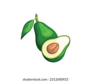 A whole avocado with a leaf and a half with a stone. Vector illustration isolated on white background