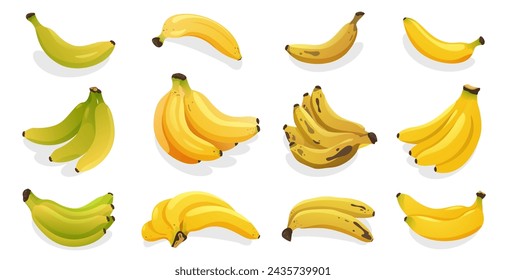 Whole banana fruits. Cartoon sweet yellow fruit with peel, bunch of organic tropical fruit with leaves, healthy vegetarian food. Vector isolated set of banana sweet yellow illustration