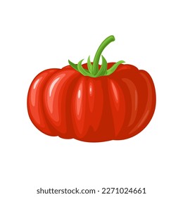 Whole beefsteak tomato. Vector flat color illustration. Isolated on white background.