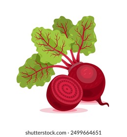 Whole beetroot with leaves and half - vegetable. Vector flat illustration on white background
