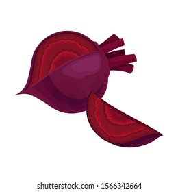Whole Beet-Root Without Beet Tops Vector Illustration
