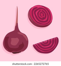Whole beets, and sliced beetroots. Vector image of vegetables. Diet food.