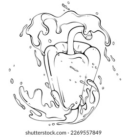 Whole bell pepper with juice or water splash. Liquid drops. Vector illustration in hand drawn sketch doodle style. Line art ingredient for fresh juice isolated on white. Close up organic vegetable