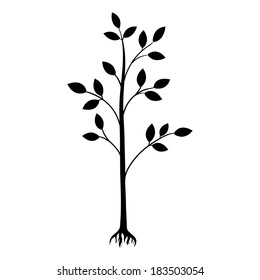 whole black tree with roots