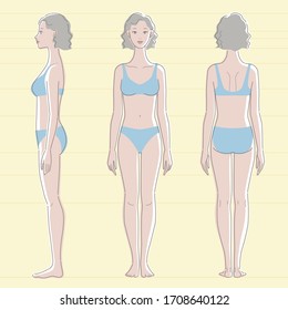 Whole body of brown skinned female. Front, side, and back.  Vector illustration.