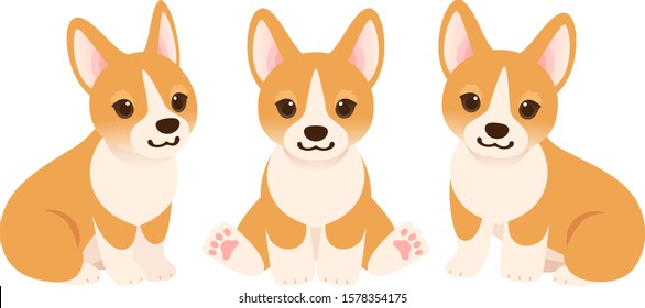 Whole body illustration set of three Corgi puppies