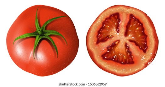 Whole bright red tomato and half a tomato on a white background. Highly realistic illustration.