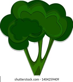 A whole broccoli, vector, color drawing or illustration. 