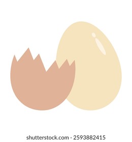 Whole and broken Chicken eggs