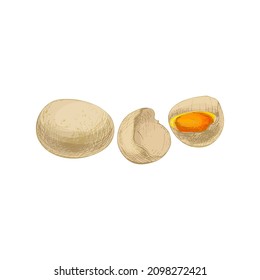 Whole and broken ostrich egg shell. Vector vintage hatching color illustration. Isolated on white background. Hand drawn design